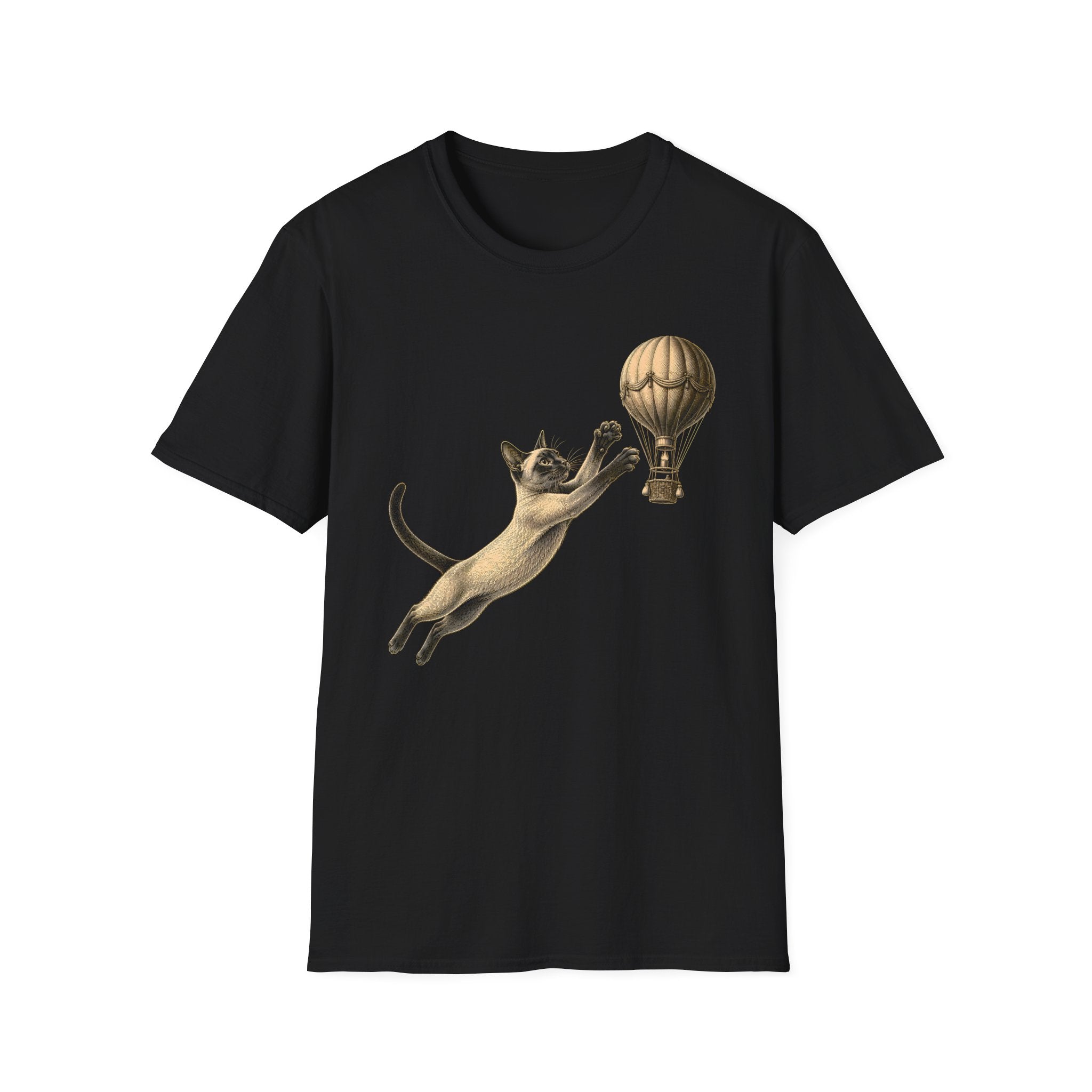 Cat vs Air Balloon T-Shirt